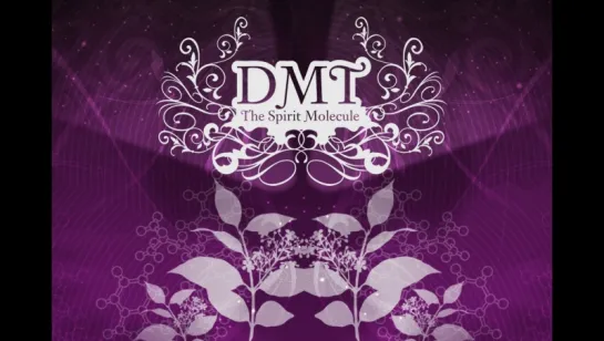 ДМТ Молекула духа DMT The Spirit Molecule (2010)