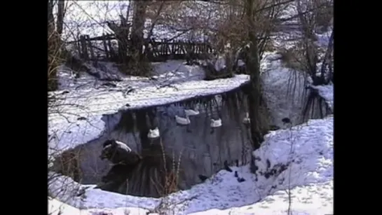 Лубянка. Приказано - уничтожить. Судоплатов