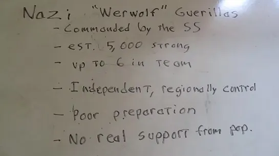 militia unit organization german werwolf guerillas how not to resist