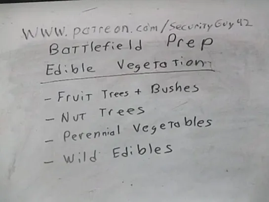 Militia Logistics- Planting Edible Vegetation