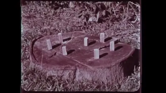 Viet Cong Mines and Booby Traps Marine Corps Training Film