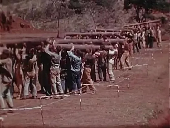 Ranger Combat Training School, Fort Shafter, Territory of Hawaii