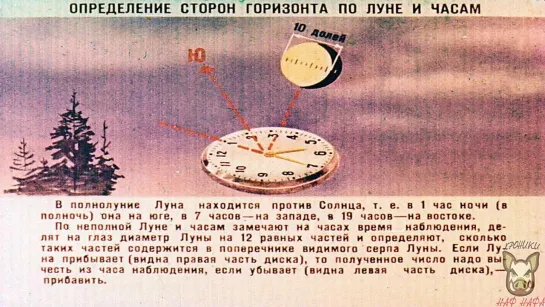 Ориентирование на местности и движение по азимутам. Озвучка диафильма.