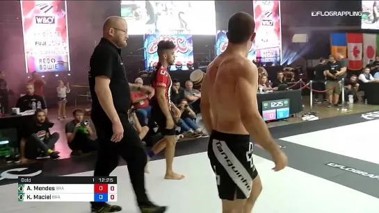 #ADCC2019 Day 2 mat 2 part 4 Finals-2