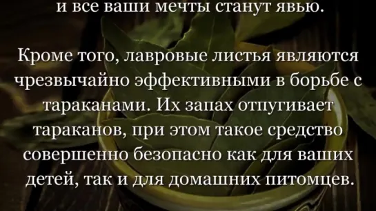 Подожгите Лавровый Лист в Своем Доме