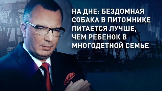 На дне: бездомная собака в питомнике питается лучше, чем ребенок в многодетной семье