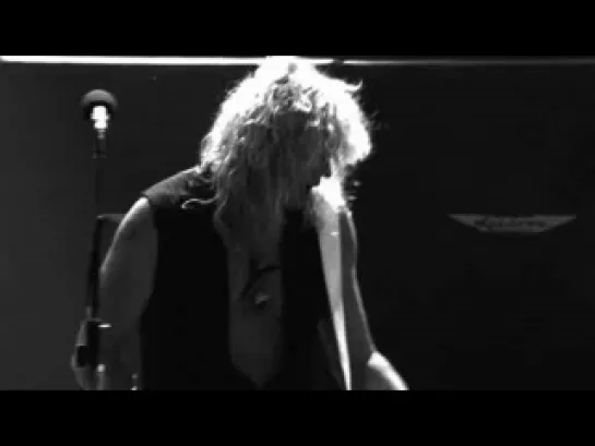 def leppard-2011