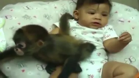 Смешные Обезьянки и Дети! Funny Monkeys and Children!