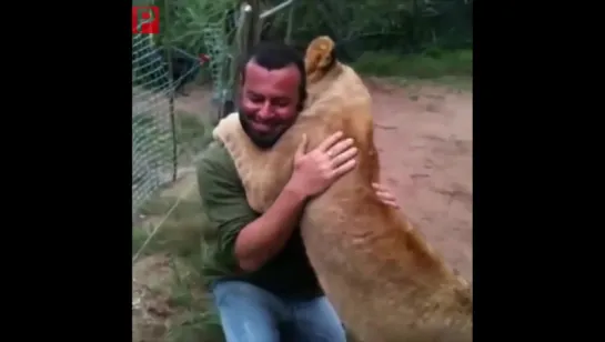 897 Hugging the Lion cubs goodbye