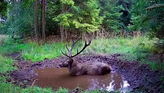 Видео от Видео Долбаёба