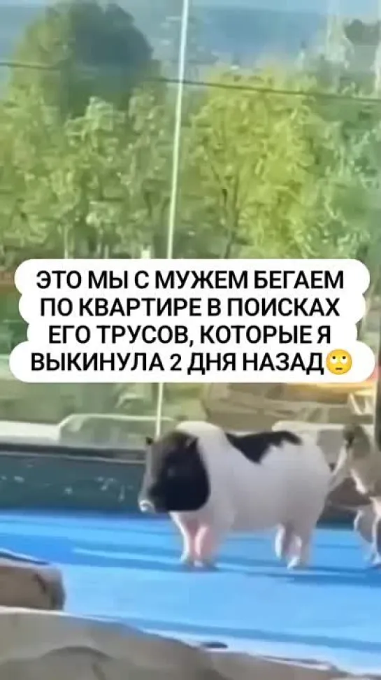 Видео от Видео Долбаёба