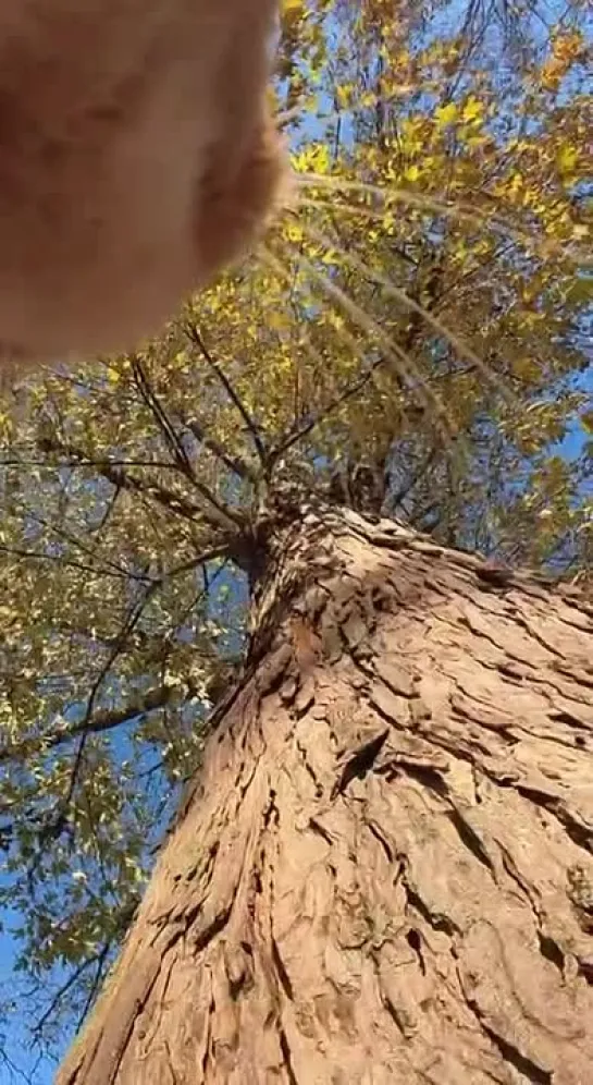 Видео от Видео Долбаёба