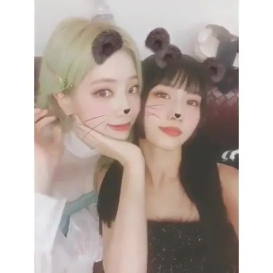 [TWICETAGRAM] 190528