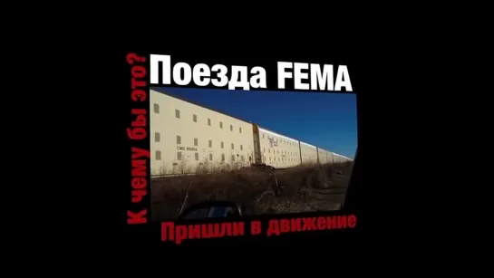 #поезда #фемма #FEMMA #гильотины.mp4