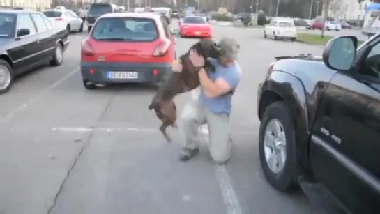 Dog Welcomes Home Soldier.Again