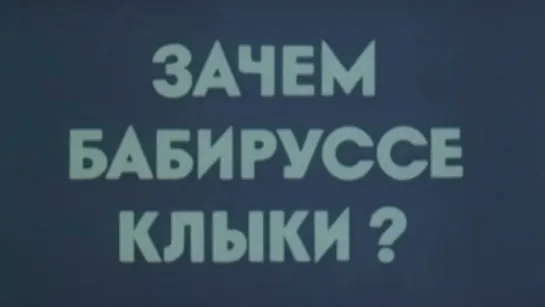 Зачем бабируссе клыки / 1979 / ЦентрНаучФильм