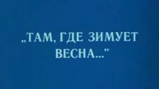 Там, где зимует весна (Долина гейзеров) / 1979 / Камчатское телевидение