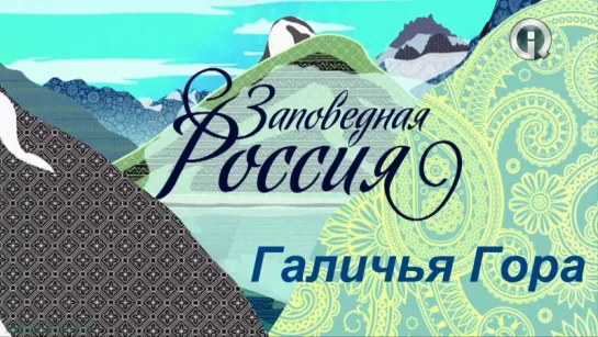 «Заповедная Россия: Галичья Гора (2)» (Познавательный, природа, путешествие, 2012)