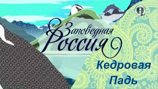 «Заповедная Россия: Кедровая Падь» (Познавательный, природа, путешествие, 2013)