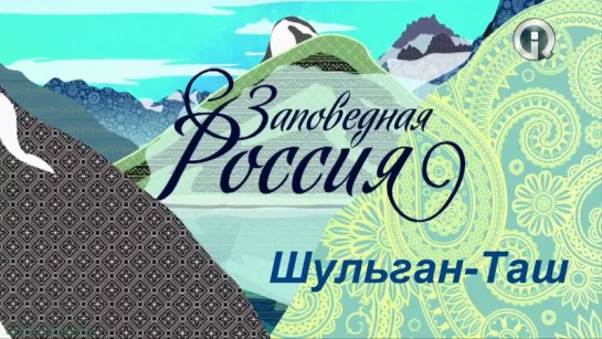 «Заповедная Россия: Шульган-Таш (2)» (Познавательный, природа, путешествие, 2012)