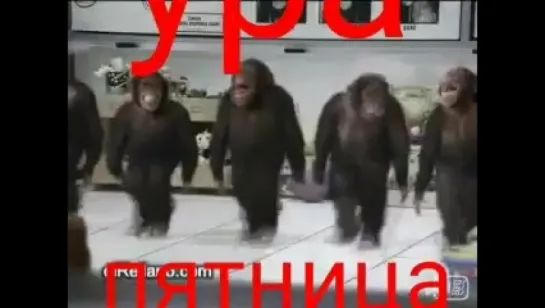 Ура пятница !!!