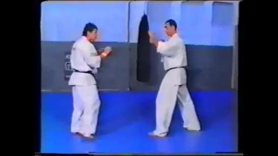 Andy Hug and Michel Vedel Kyokushinkai karate. Part One. Энди Хуг и Мишель Вёдел