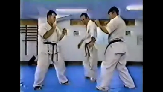 Hiroshigi. The best of kyokushinkai kumite 3