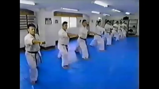 Hiroshigi. The best of kiokushinkai kumite 2