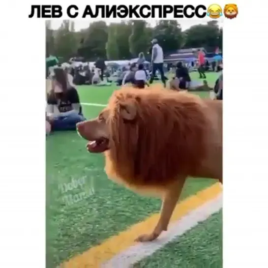 На минималках 🤣