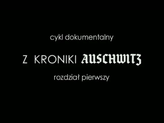 Из хроник Освенцима / Z kroniki Auschwitz / 2005