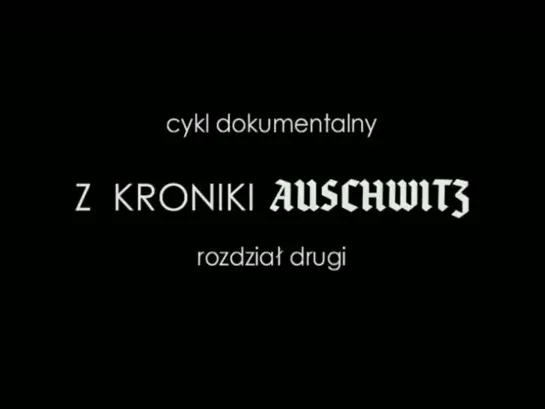 Из хроник Освенцима / Z kroniki Auschwitz / 2005