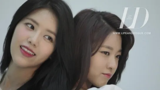 Life & Dogue Magazine Behind  AOA