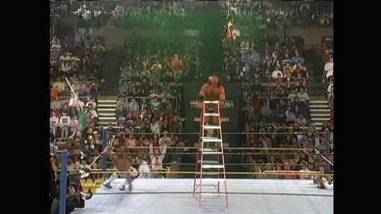 Shawn Michaels vs. Razor Ramon (WrestleMania X)