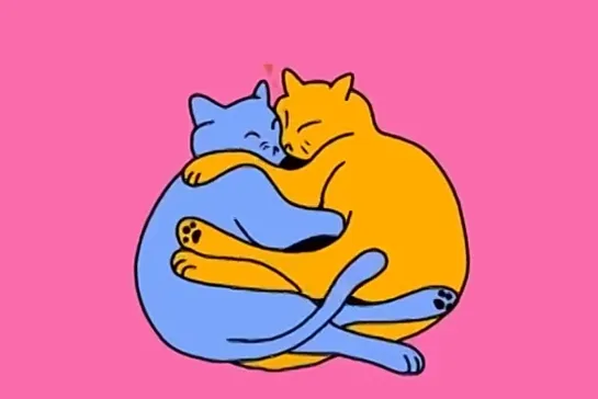 cats hugging