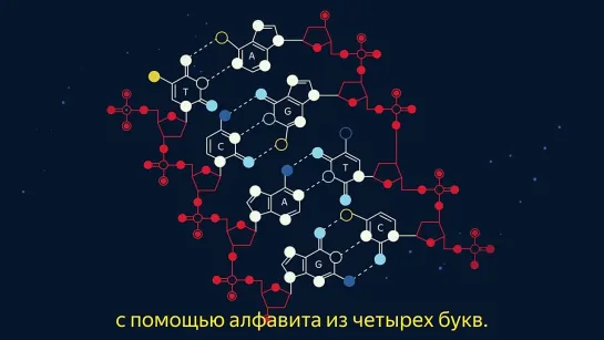 Кем был наш общий предок