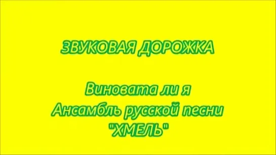 БАНД ОДЕССА под песню ВИНОВАТА ЛИ Я?..