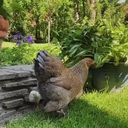 На секунду испугался