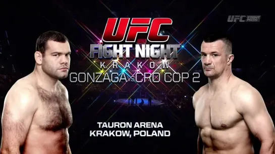 Mirko Cro Cop - последний бой в UFC