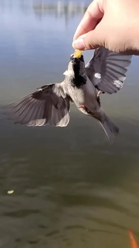 Когда получилось снять шикарное видео