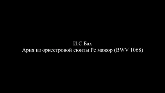 В. Лаврик и Е. Кривицкая - I. Bach, Air From Orchestral suite No.3