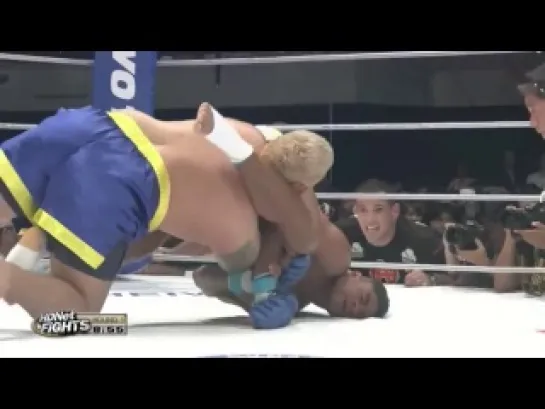 Alistair Overeem HL  alistair overeem hl