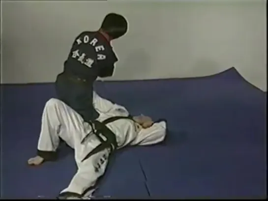 Kim Seong Tae – Hapkido Hoi Jeon Moo Sool Vol 1 (Budo International) (DVD)