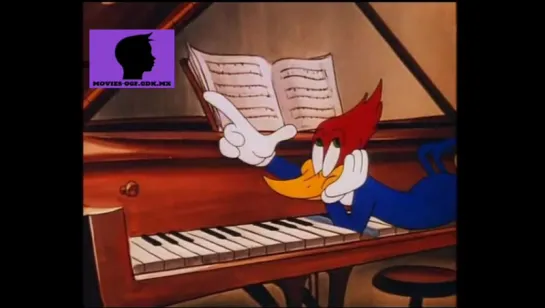 Вуди Вудпеккер/Woody Woodpecker - коллекция 10