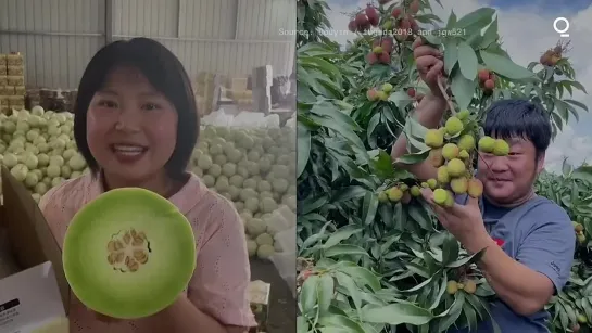 Livestreaming Farmers Make Millions on Chinas TikTok