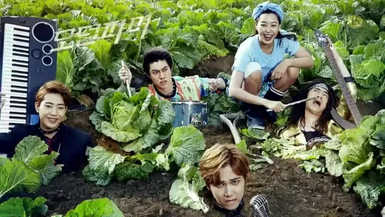 Hongki @ SBS 'Modern Farmer' teaser 5