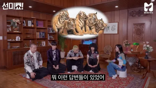 221201 | Sunmi’s Show! Interview 20ep - Balming Tiger