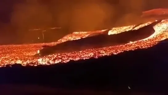 Видео от Выжить врагам назло