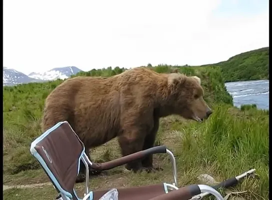 Видео от Выжить врагам назло