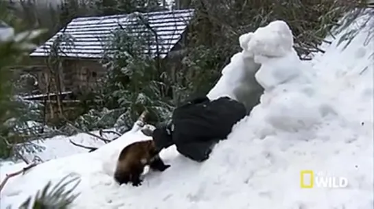 Видео от Выжить врагам назло