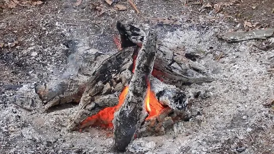 Видео от Выжить врагам назло